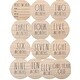 preview thumbnail 2 of 4, Rae Dunn Baby Milestone Wooden Discs - Set of 13