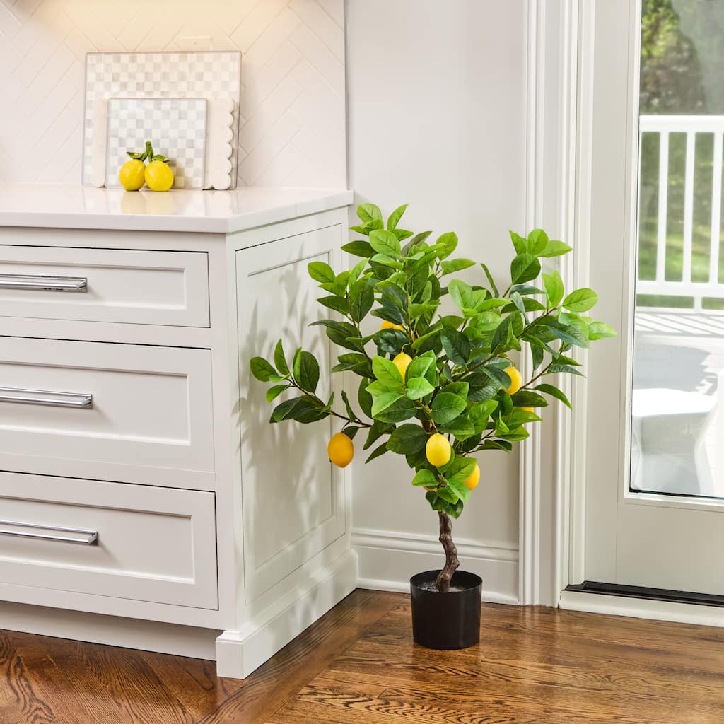 36" Potted Lemon Bush