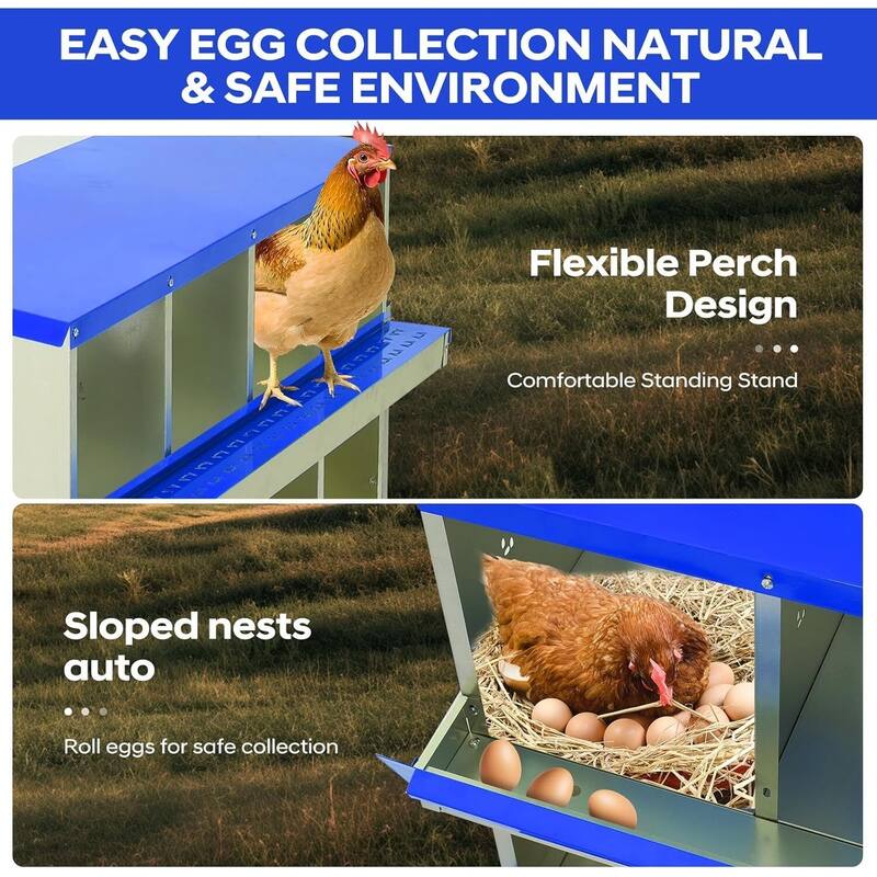 8 Compartment Nesting Box, Chicken Laying Box, with Bracket Legs, Easy to Clean and Install
