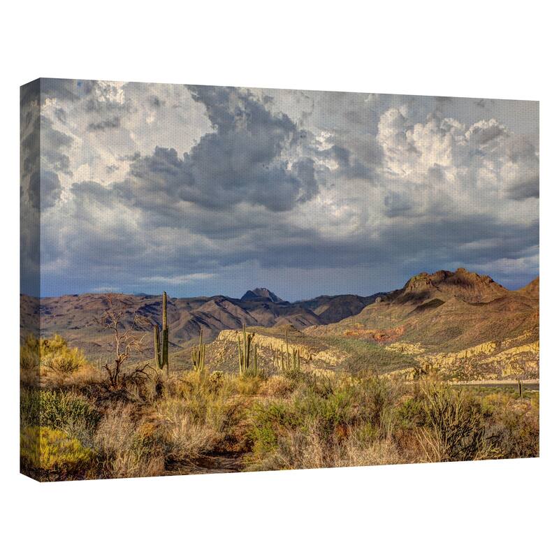 Stormy Dessert by Robert Murray Canvas Art Print