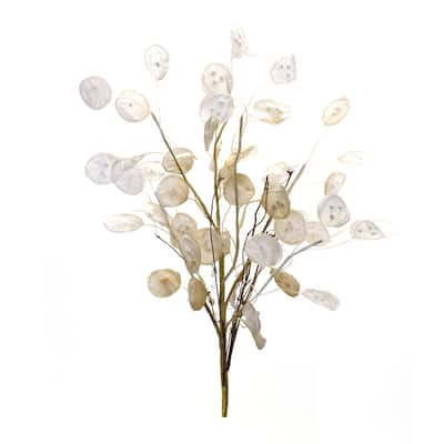 Silver Dollar Spray (Set of 6)
