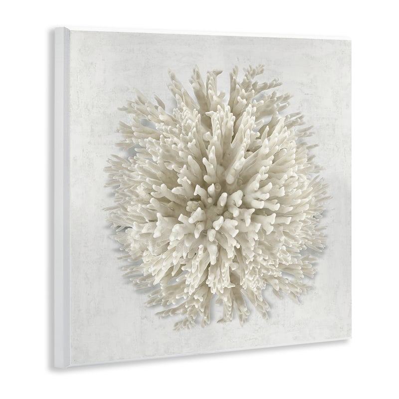 Stupell Natural Round Coral Wall Plaque Art Design By Caroline Kelly