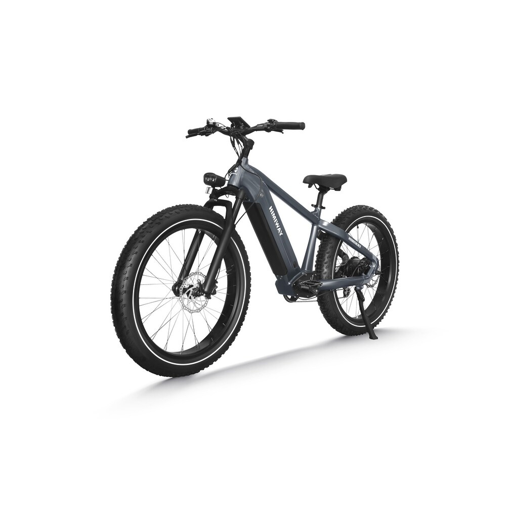 Zebra fat bike 2025 price