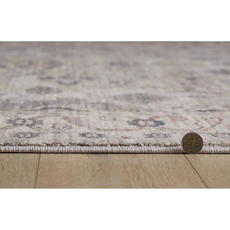 Domani Greige Distressed Luxe Traditional Area Rug