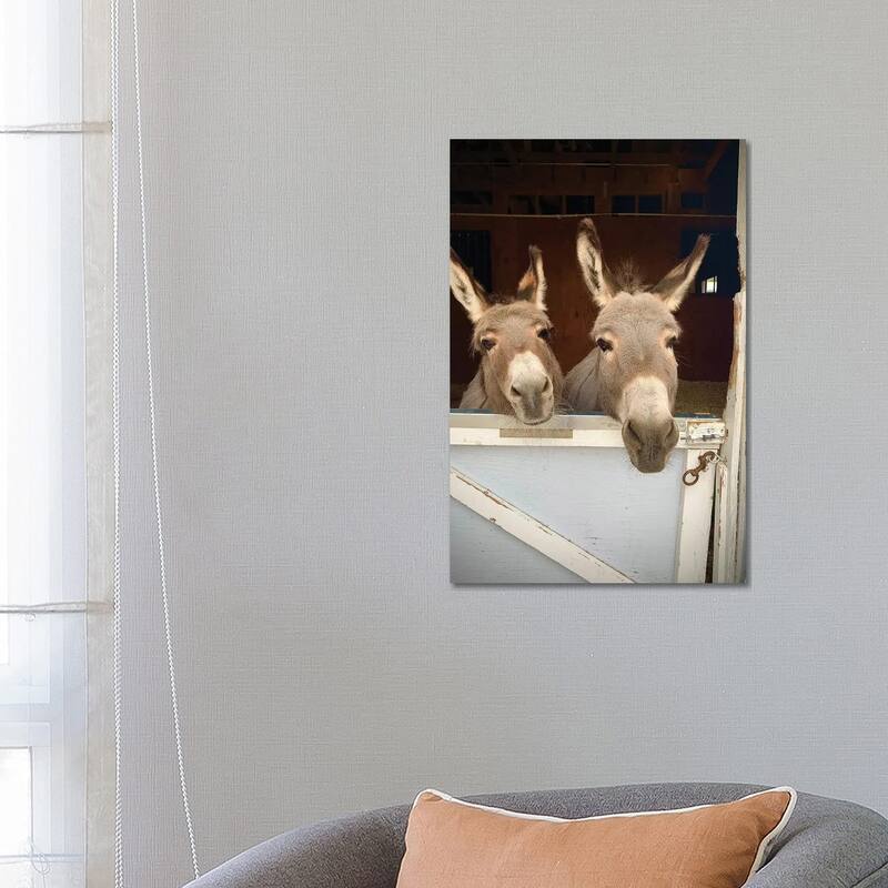 iCanvas "Pair Of Donkeys" by Susan Vizvary Canvas Print - 26x18x1.5