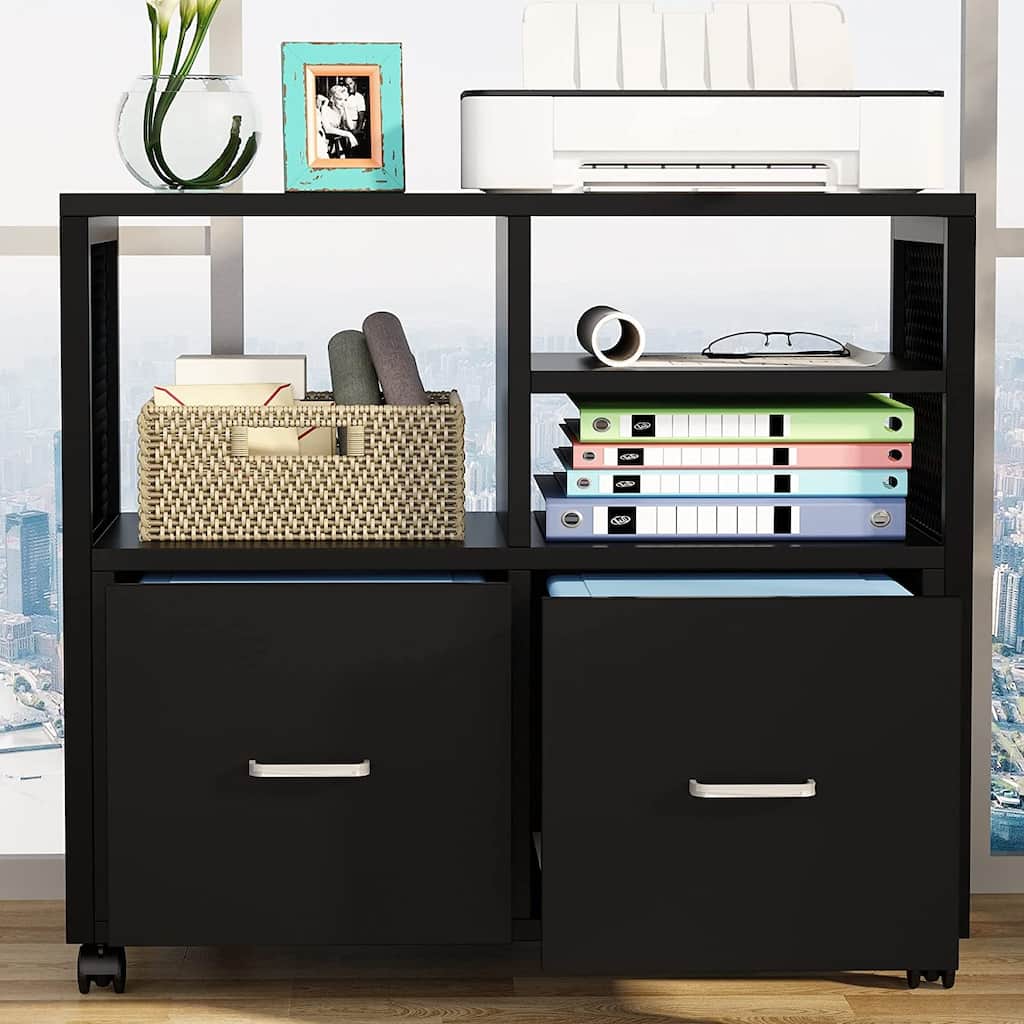 2 Drawer Lateral File Cabinet with Storage Shelf Mobile Filing Cabinet