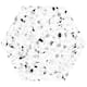 Terra Mia 8.1 in. x 9.25 in. Matte White and Black Porcelain Hexagon ...