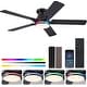 preview thumbnail 2 of 34, Kviflon 46 or 52 Inch Flush Mount Ceiling Fan with Light and Remote,5 Dual Side Blades for Living Room Bedroom Kitchen 52 Inches - Black-RGB Light