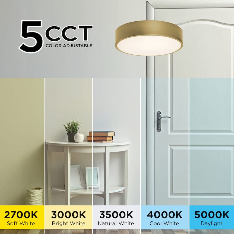 AFX Bailey LED Flush Mount Light