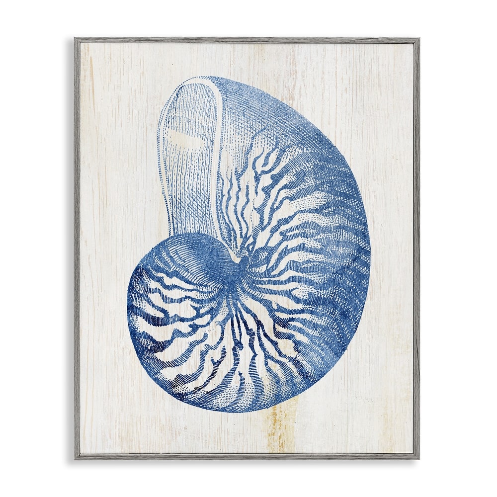 Stupell Blue Nautilus Shell Framed Giclee Art Design By Susan Arnot