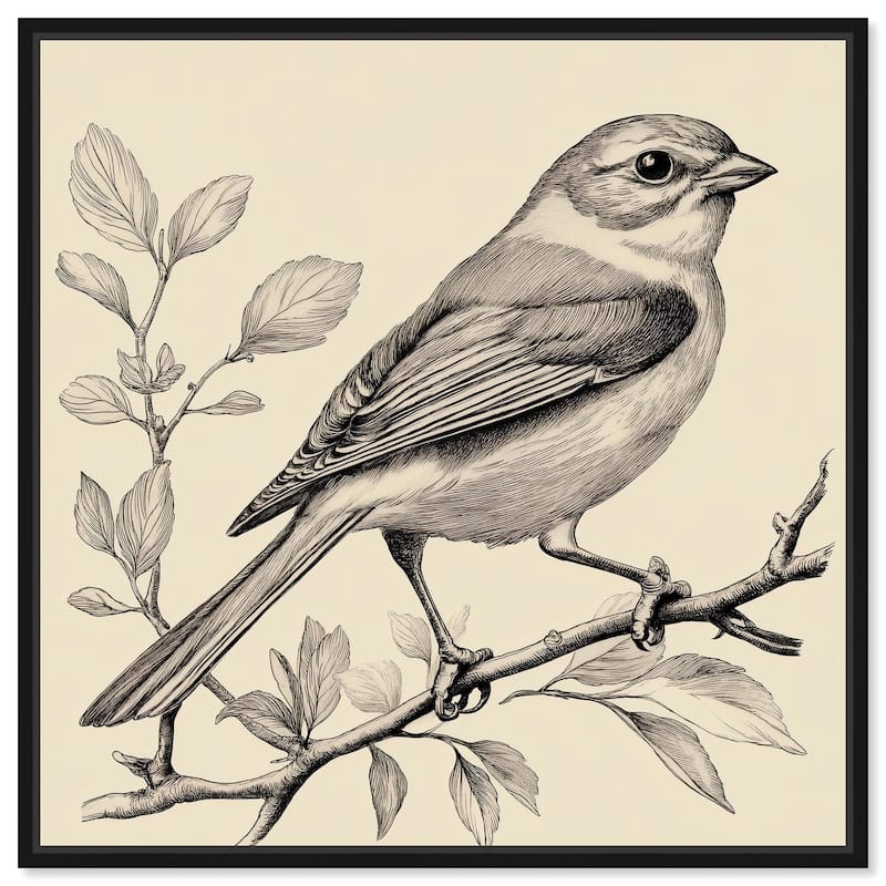 Bird's Gaze Canvas by Art Remedy - Black - 30" x 30"