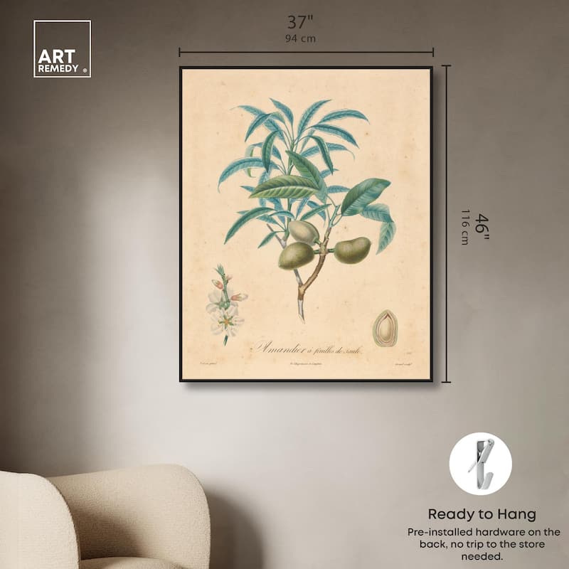 Almond of Georgia II Canvas by Art Remedy