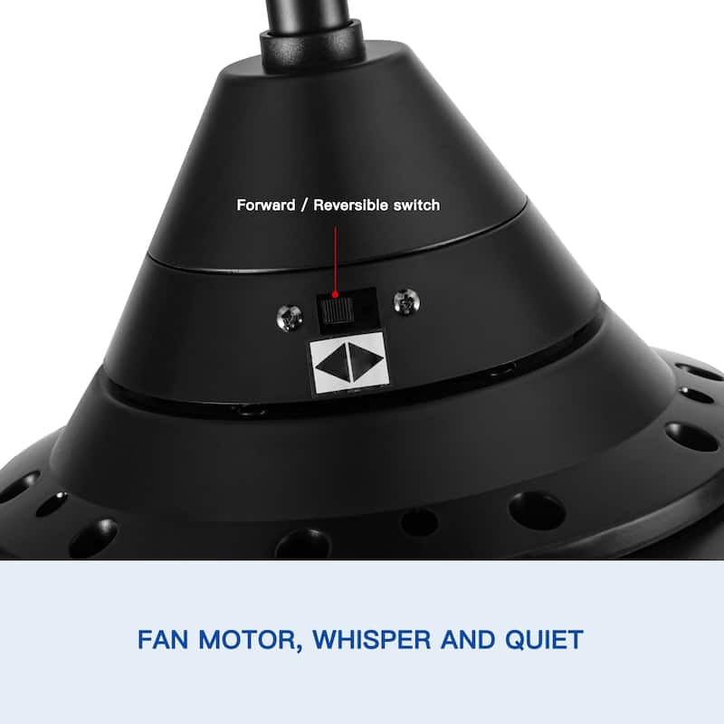 56" Ceiling Fan Light with Remote Control