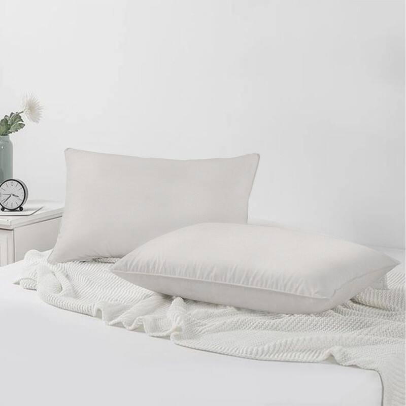 A1HC Pack of 2 Velvet Throw Pillow Covers, Hidden Zipper Closure