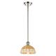 Option Polished Nickel
