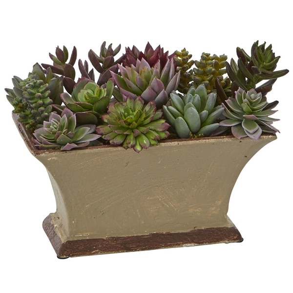 Nearly Natural Mixed Succulent Artificial Plant in Vase
