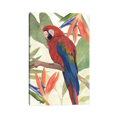 iCanvas "Tropical Parrot Composition II" by Annie Warren Canvas Print