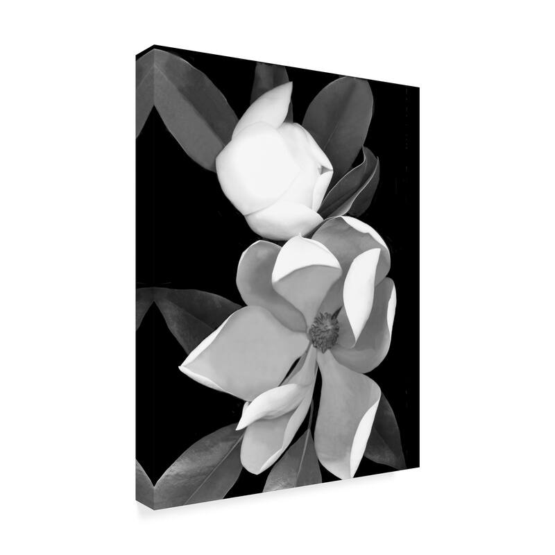 Susan S. Barmon 'White Magnolia Black And White' Canvas Art