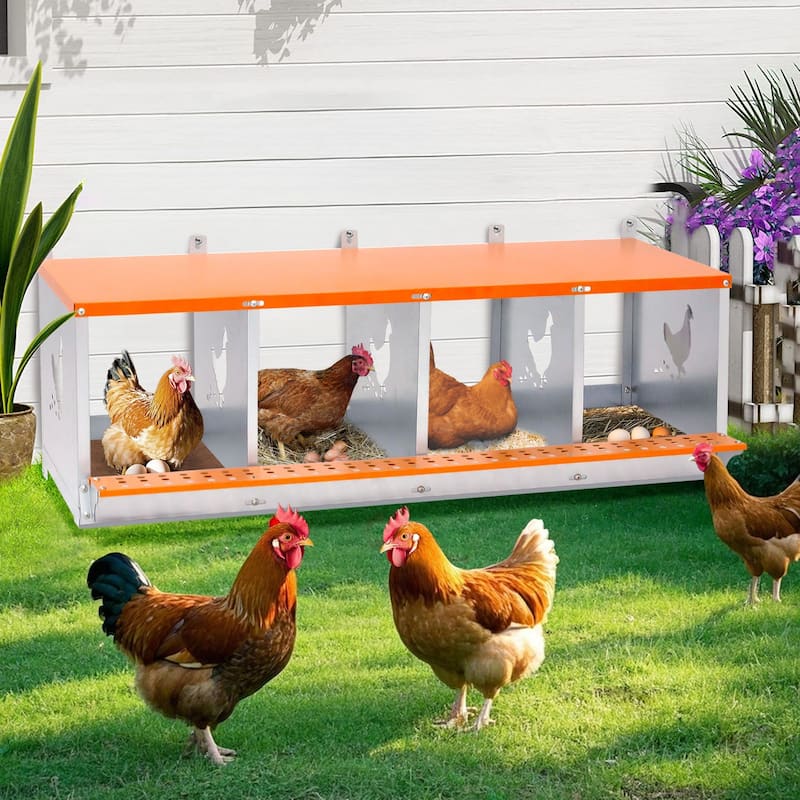 4-Bay Metal Nest Box Wall Mount for Hens Ducks