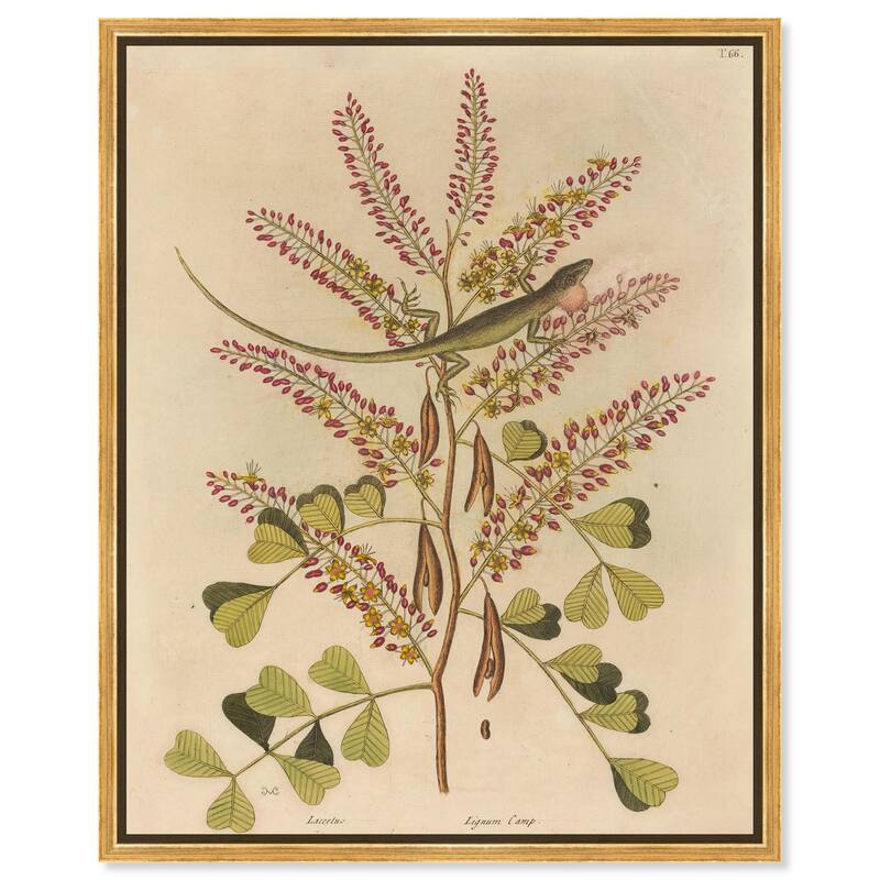 Green Lizard Canvas by Art Remedy - Gold - 16" x 20"