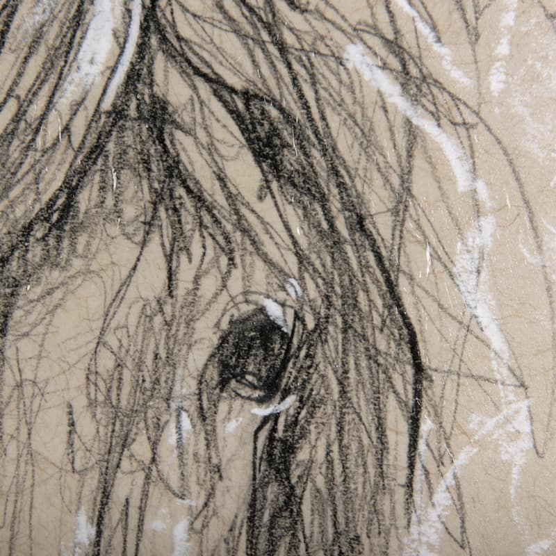 Sketch of Animal VI (Pony) Framed Art Print
