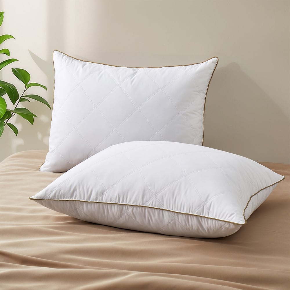 2 Pack Premium Medium-Firm Goose Feather Bed Pillow with Classic Piping - White