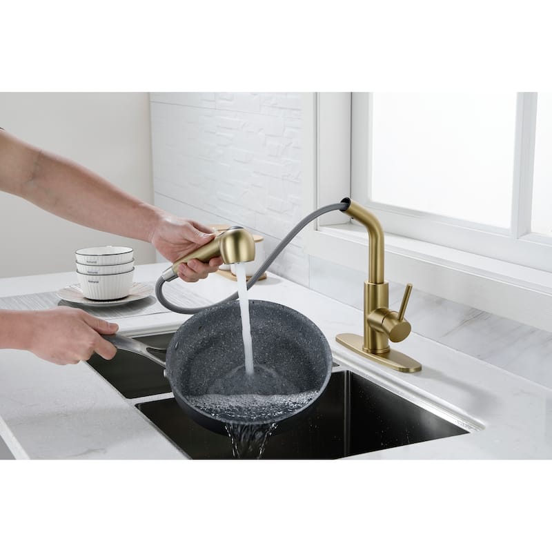 Utility Sink Faucets Single-Handle Pull-Out Laundry Faucet with Dual Spray Function in Stainless Spot Resistant Gold