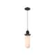 Option Oil Rubbed Bronze / Matte White
