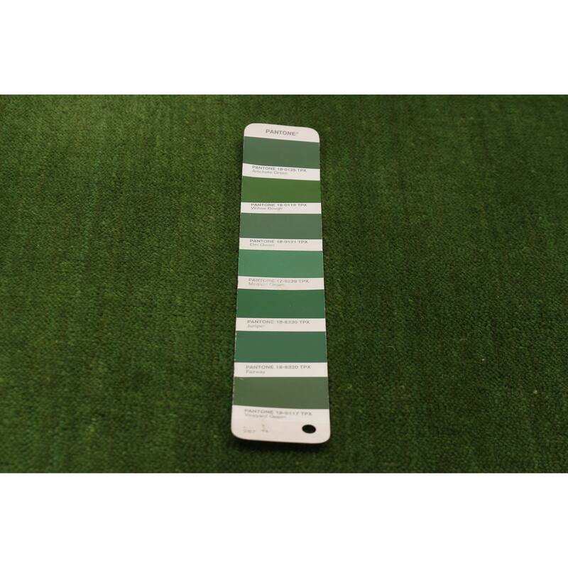 Kashkuli Gabbeh Green Rug 8'0" x 11'0" - 8'0 x 11'0