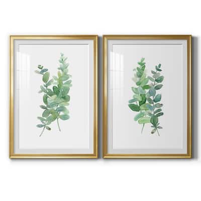 Eucalyptus I Premium Framed Print - Ready to Hang