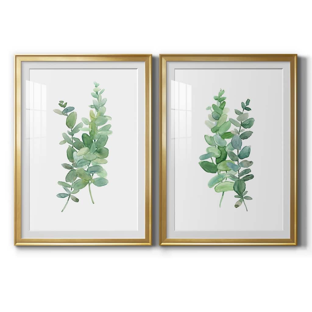 Eucalyptus I Premium Framed Print - Ready to Hang