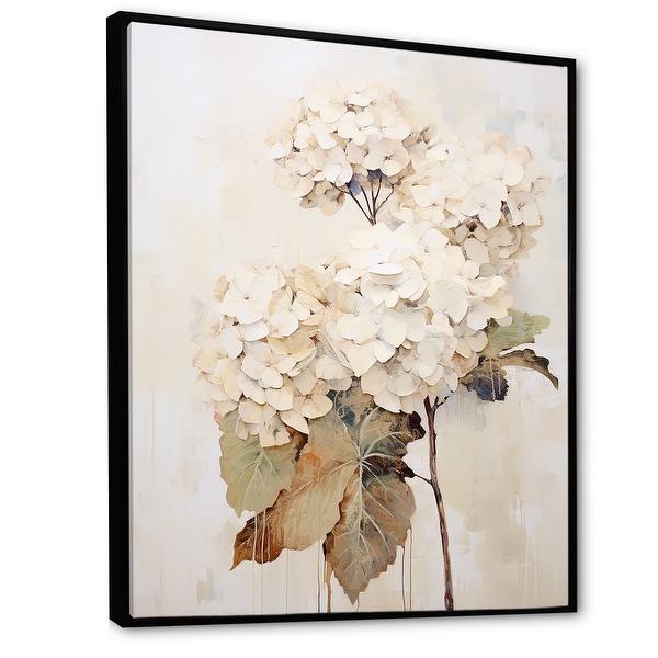 Hydrangea4937★★★　0308 Amazon.com : Vanilla Strawberry Hydrangea PP 20670 (3 Gallon
