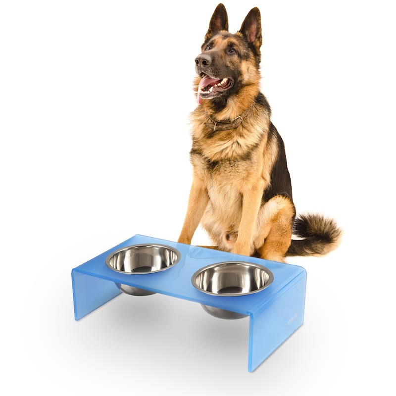 Keaton 7.5" Medium/Large Modern Lucite Rectangular Elevated Pet Feeder with 54oz 2-Stainless Steel Bowls - Blue/Chrome