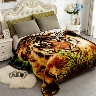 Raschel A&B Printed 2-ply Reversible Korean-style Plush Fleece Blanket