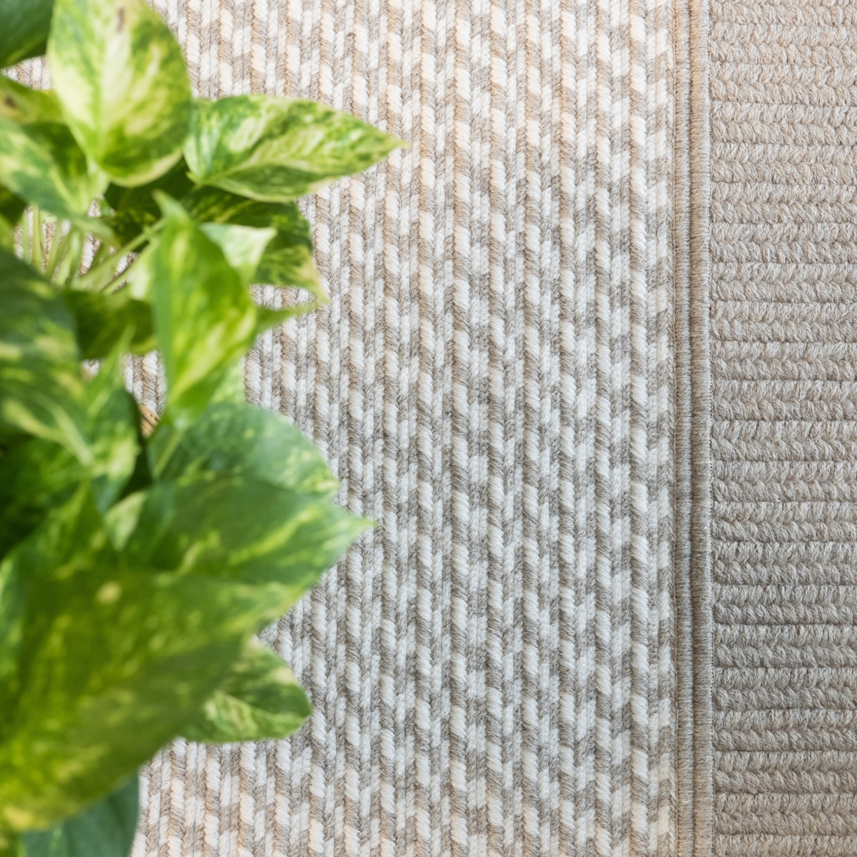 Lyza All-Natural Beige Wool Rug