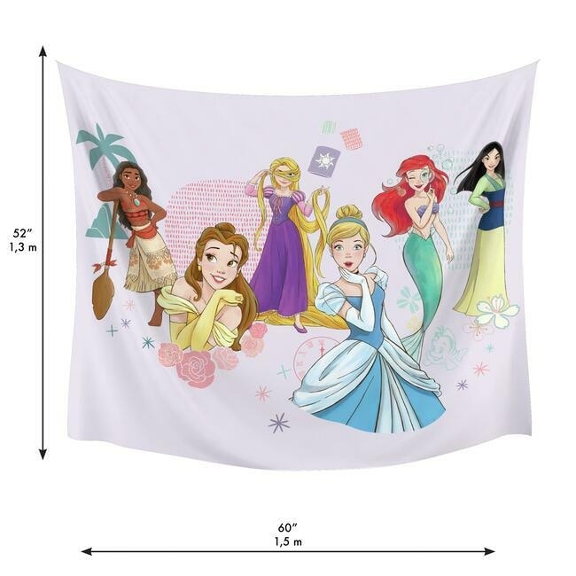 Disney Roommates Princess 52 Inch X 60 Inch Tapestry