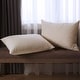 preview thumbnail 4 of 4, AllerEase Cotton Top Allergy Protection Pillow - White