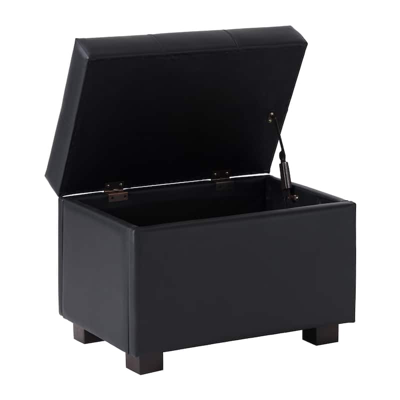 Levi Faux Leather Storage Ottoman