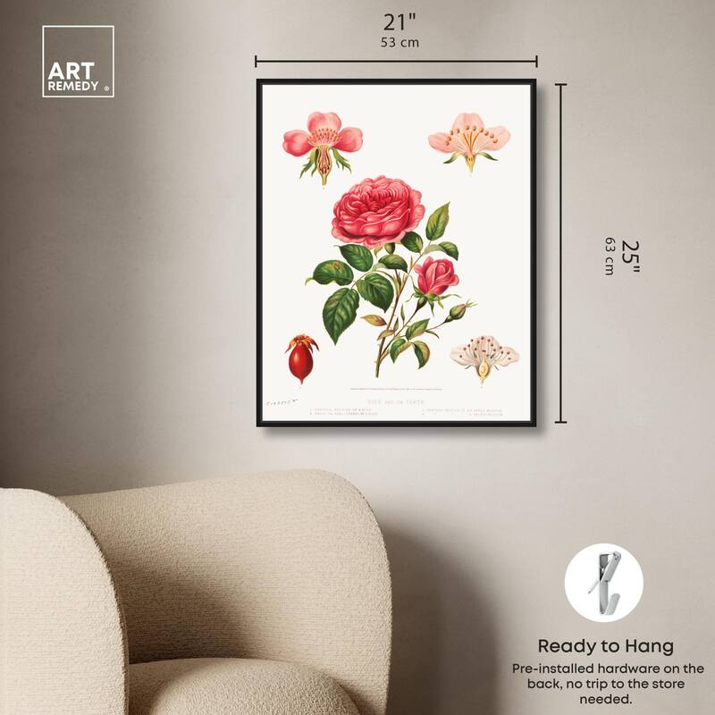 Rose and its parts (1872) Canvas by Art Remedy