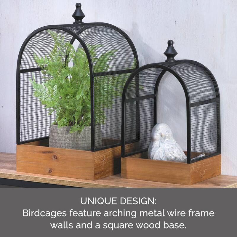 Elements Set of 2 Metal and Wood Cage Tabletop Decor