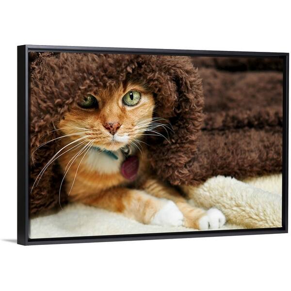 Orange Tabby Cat Peeking Out From Underneath Brown Plush Blanket Black Float Frame Canvas Art Overstock 25495028
