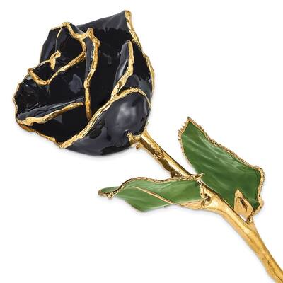 Curata Lacquer Dipped Gold Trimmed Black Real Rose