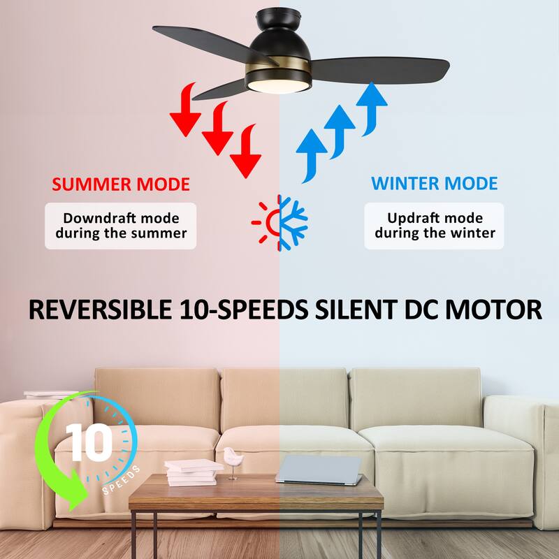 CARRO Quest 48" 3-Blade Smart Ceiling Fan with LED Light and Remote-Flush Mount