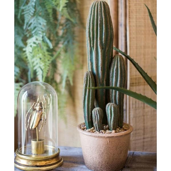 RusticReach Artificial Cactus in Brown Pot - Bed Bath & Beyond - 28992449