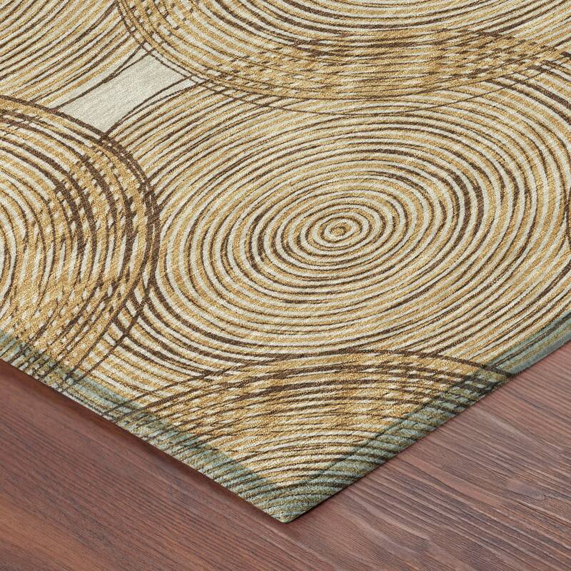 Machine Washable Indoor/ Outdoor Modern Pune Chantille Rug