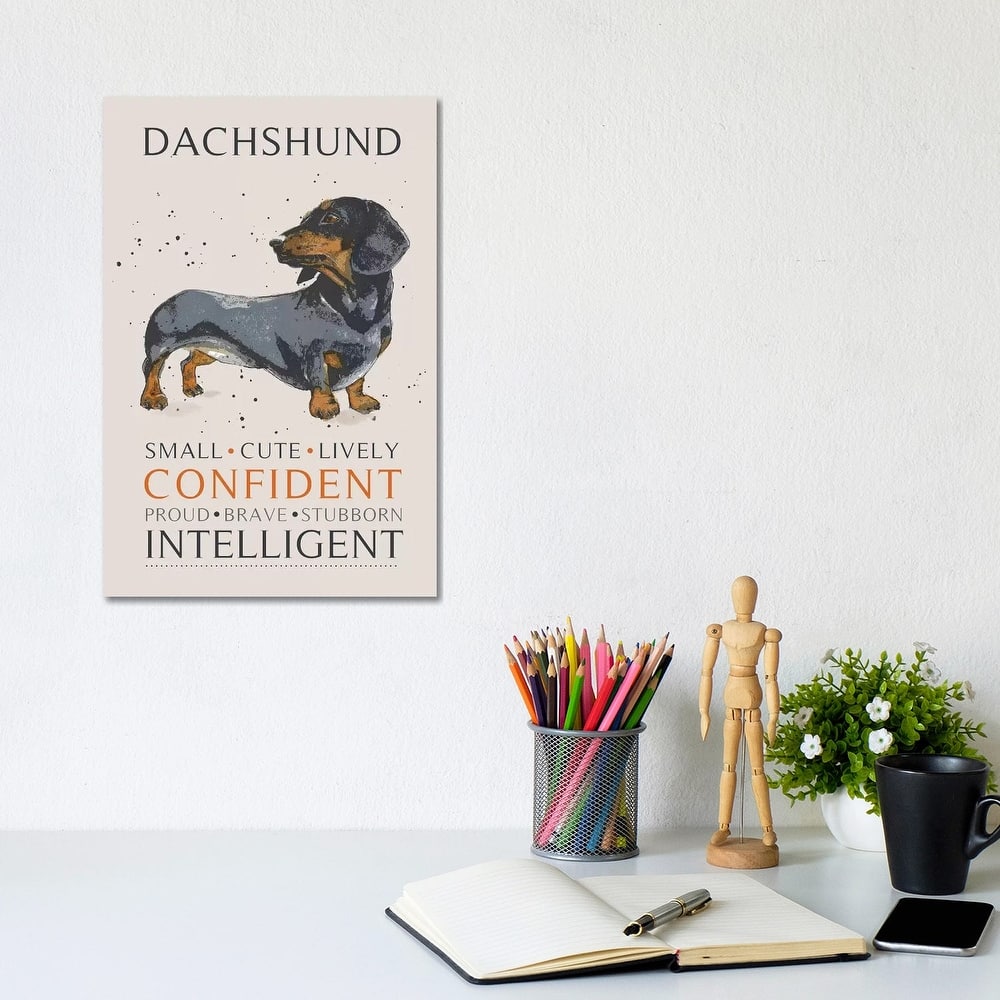 iCanvas "Dachshund" by Michelle Campbell Canvas Print