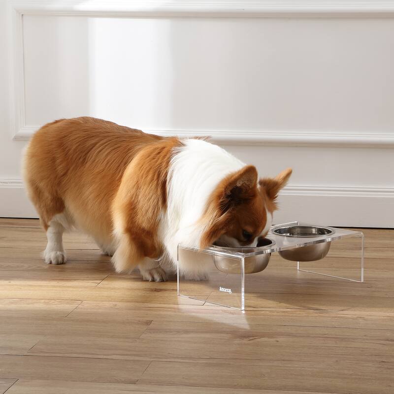 Keaton 5" Small/Medium Modern Lucite Rectangular Elevated Pet Feeder with 20oz 2-Stainless Steel Bowls