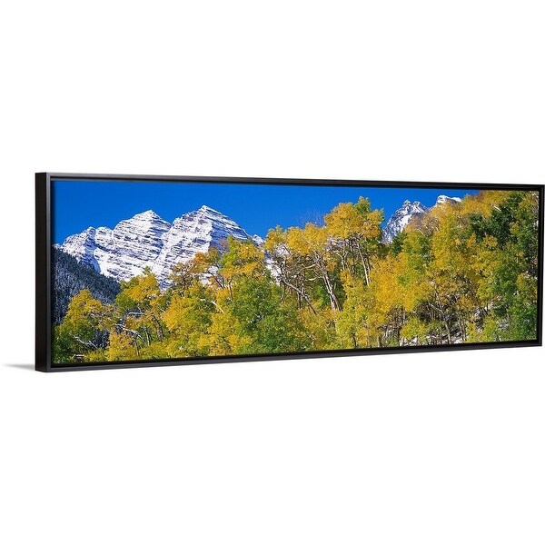 Shop Forest With Snowcapped Mountains In The Background