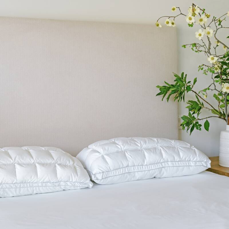 Jennifer Adams Renew Hybrid Pillow