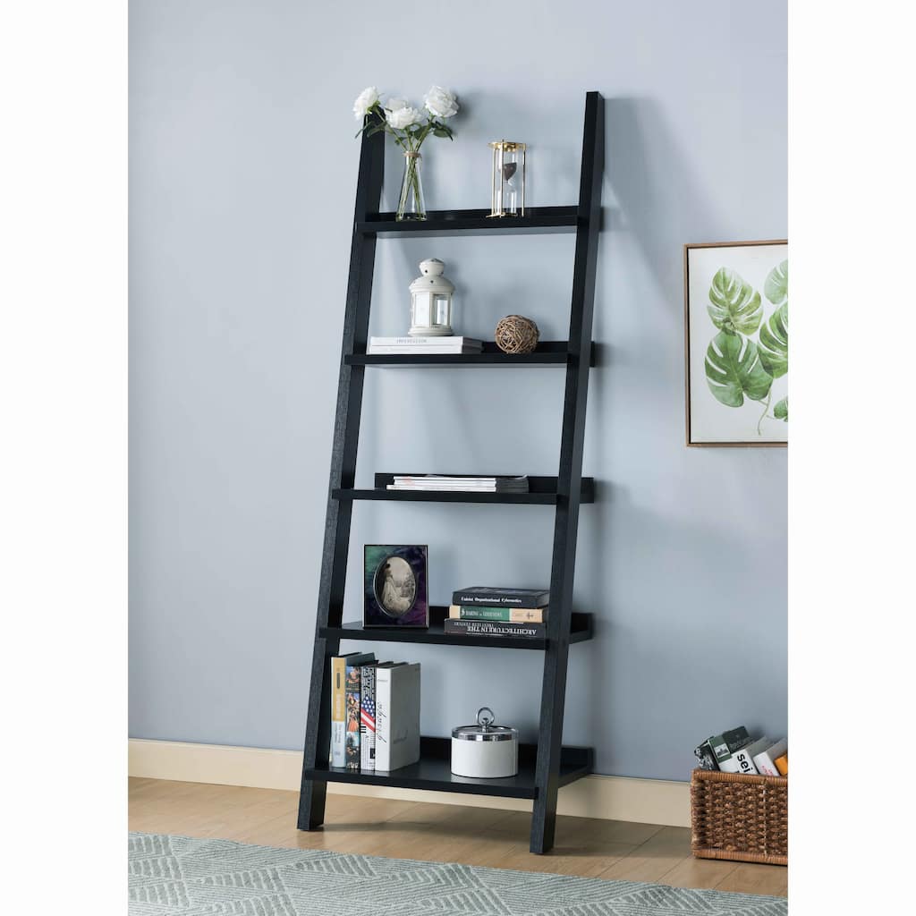 Q-Max Ladder Bookcase Featuring Unique Slanted Fve Shelves